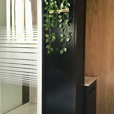 Gala Bcn5 * バルセロナ